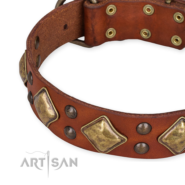 Natural leather collar with durable D-ring for your stylish doggie