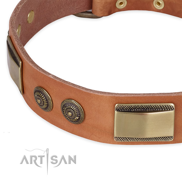 Adjustable leather collar for your beautiful canine