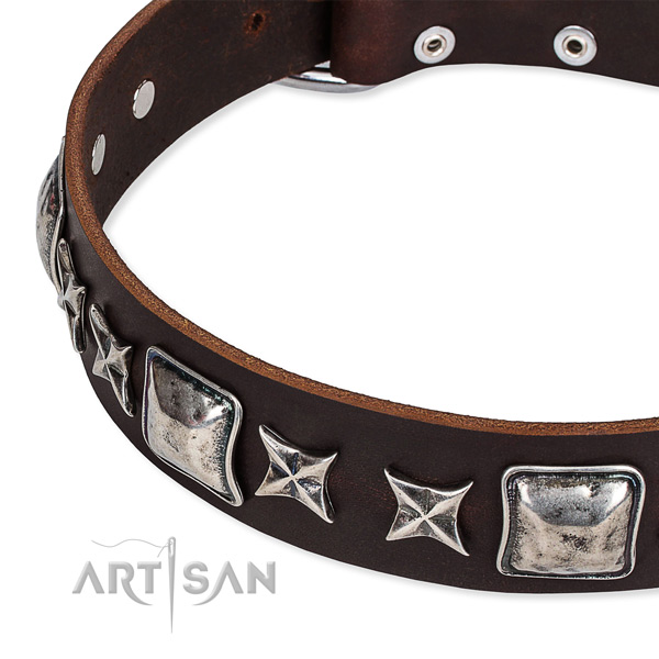 Easy wearing studded dog collar of top quality full grain leather