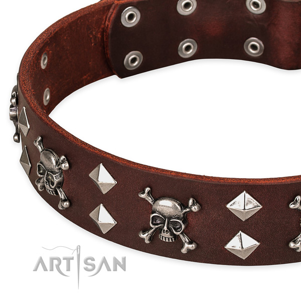 Everyday walking studded dog collar of finest quality full grain leather