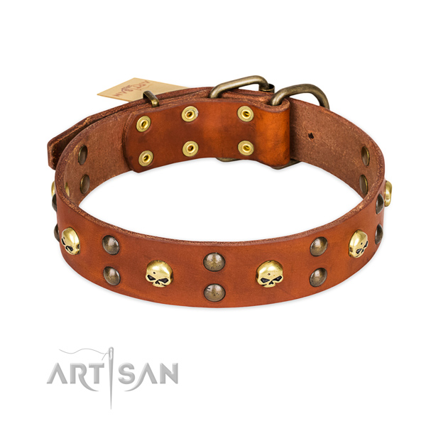 Stylish walking dog collar of high quality natural leather with embellishments