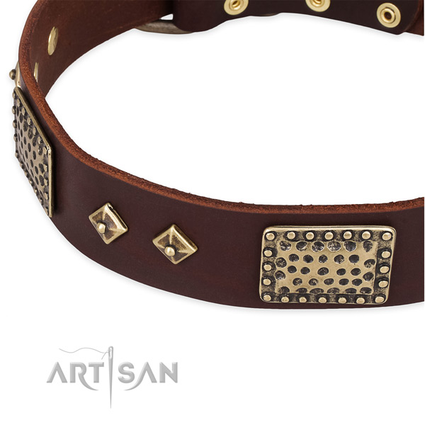 Reliable adornments on genuine leather dog collar for your canine