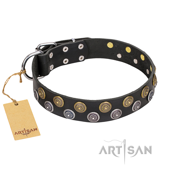 Handy use dog collar of fine quality full grain genuine leather with embellishments