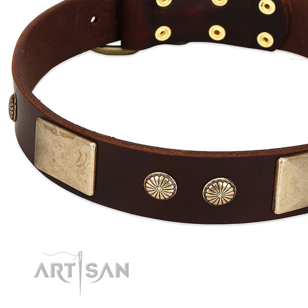 Rust resistant traditional buckle on full grain leather dog collar for your canine