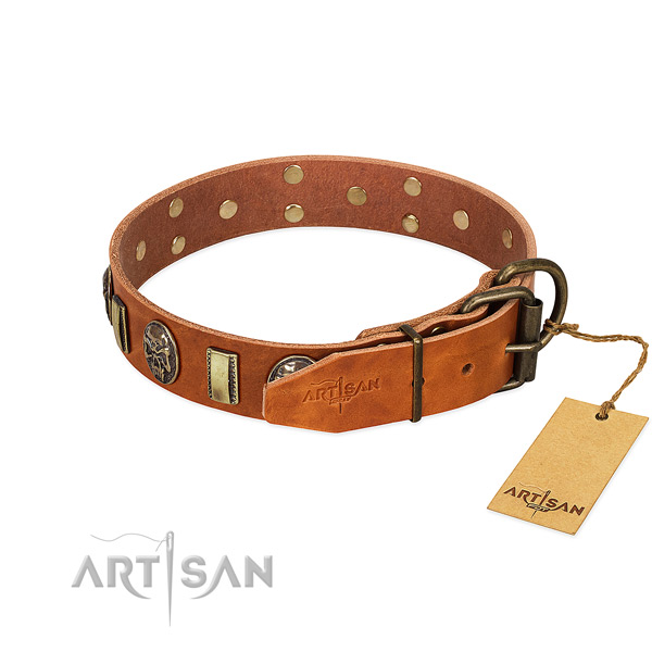 Reliable hardware on full grain leather collar for stylish walking your four-legged friend