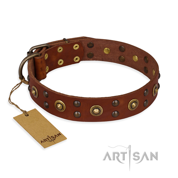 Handcrafted leather dog collar with reliable fittings