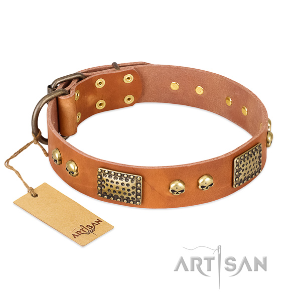 Easy adjustable full grain leather dog collar for everyday walking your four-legged friend