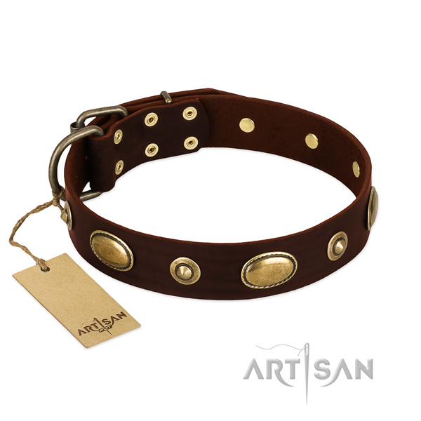 Awesome leather collar for your doggie