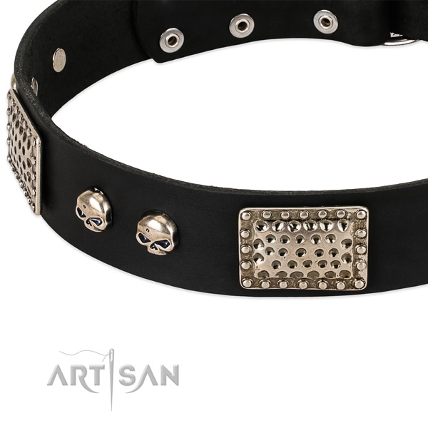 Rust-proof embellishments on natural genuine leather dog collar for your pet