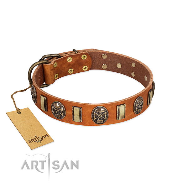 Easy to adjust genuine leather dog collar for stylish walking