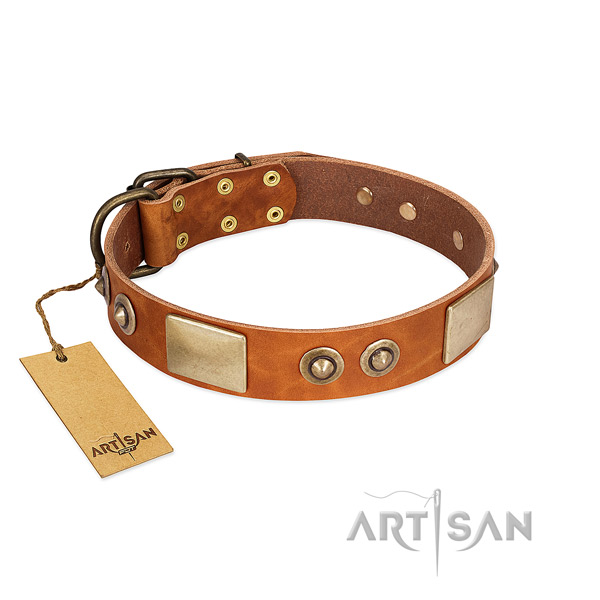 Adjustable full grain leather dog collar for basic training your canine