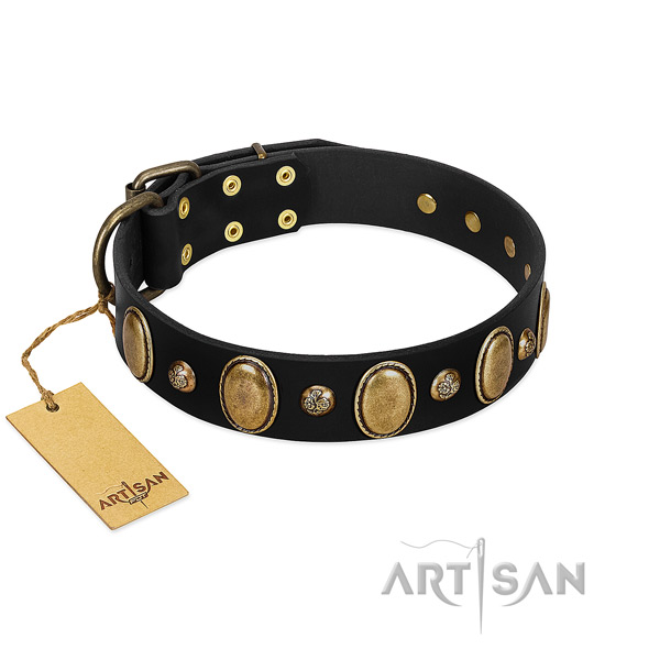 Genuine leather dog collar of reliable material with stunning embellishments