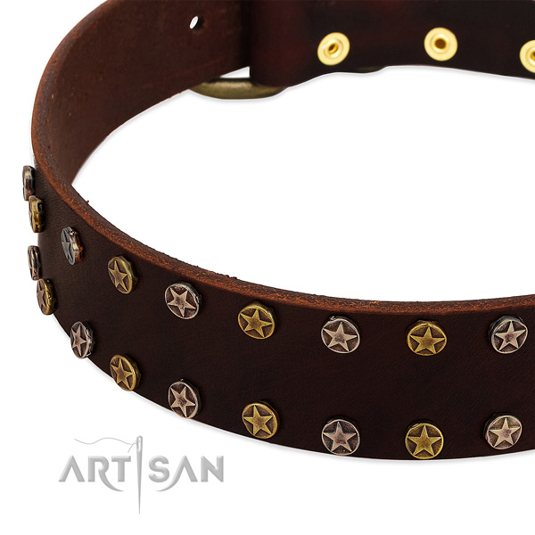 Everyday walking full grain genuine leather dog collar with remarkable studs