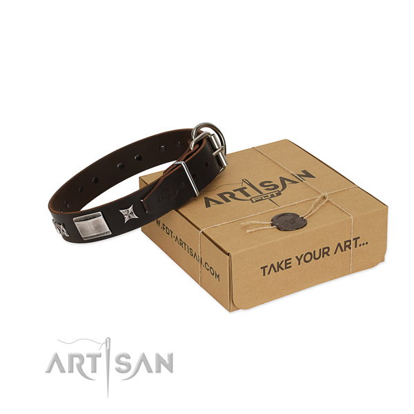 Inimitable collar of genuine leather for your impressive four-legged friend
