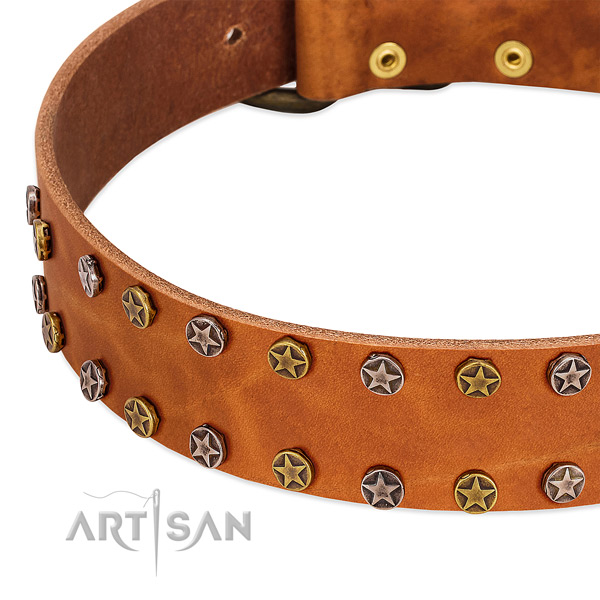 Daily walking natural leather dog collar with significant adornments