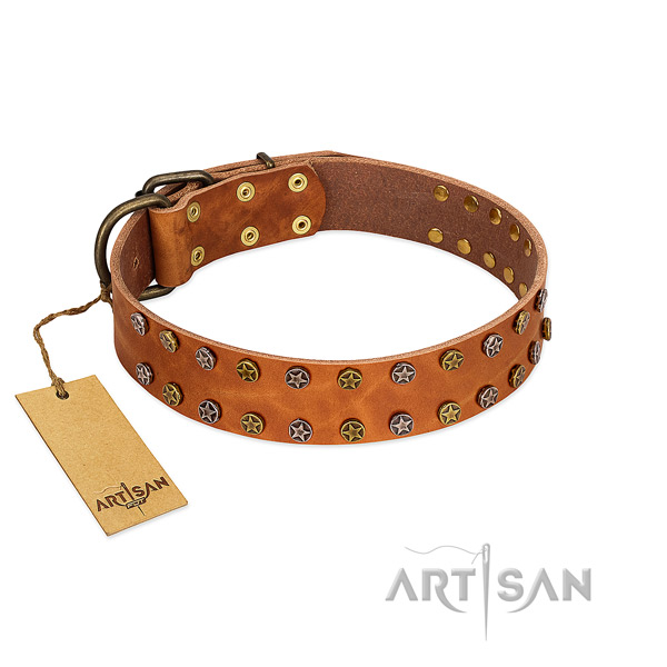 Walking top rate genuine leather dog collar with embellishments