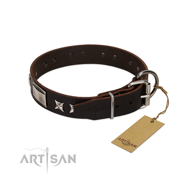 Exquisite collar of leather for your handsome pet