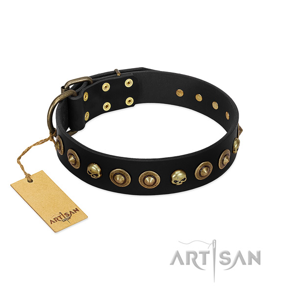 Full grain genuine leather collar with remarkable embellishments for your canine