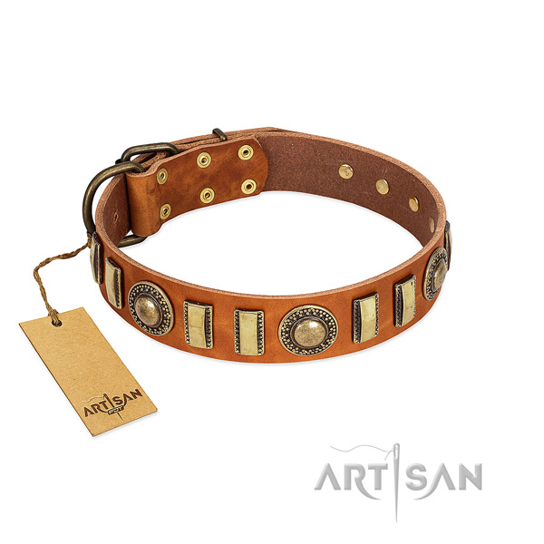 Fashionable leather dog collar with corrosion resistant buckle