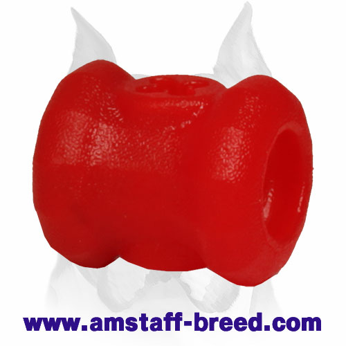 https://www.amstaff-breed.com/images/amstaff-dog-equipment/Chew-Toy-Made-Of-Foam-For-Amstaff-TT27-BIG.jpg
