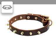 Viper Biothane Collar with Brass Hardware [V7001-1] : Amstaff dog harness,  Amstaff dog muzzle, Amstaff dog collar , dog leash, Amstaff