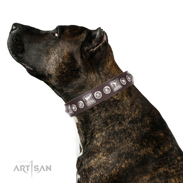 Stylish design studded genuine leather dog collar for walking