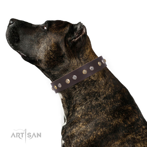 Leather dog collar with reliable buckle and D-ring for comfortable wearing