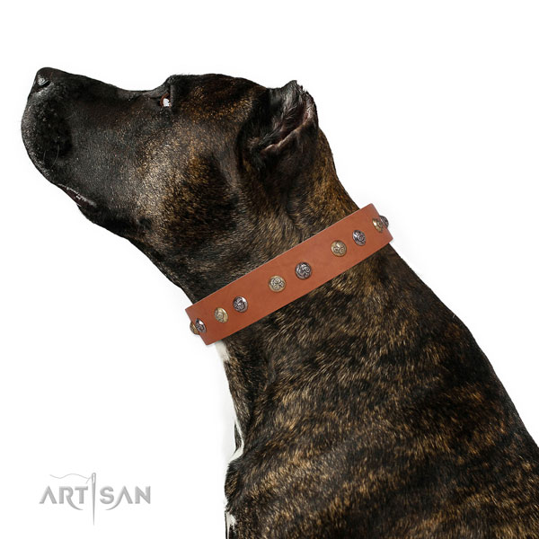 Natural leather dog collar with strong buckle and D-ring for comfortable wearing