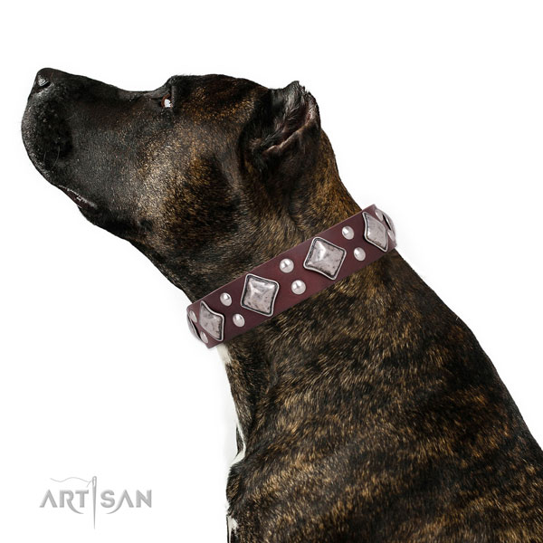 Easy wearing studded dog collar made of high quality leather