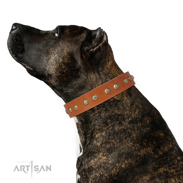 Unique decorations on walking genuine leather dog collar