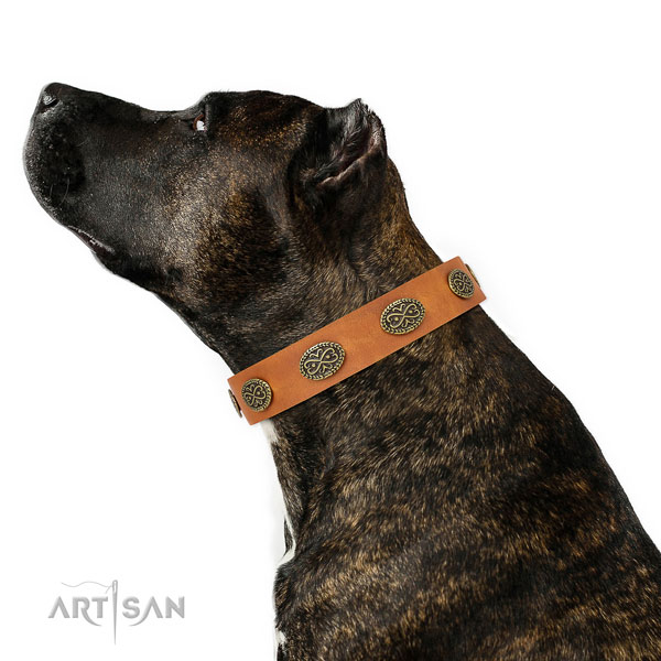 Significant decorations on comfortable wearing natural genuine leather dog collar