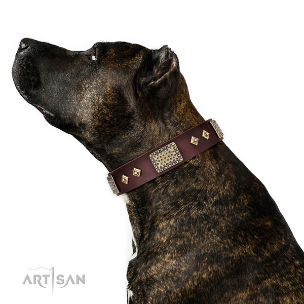 Reliable fancy walking dog collar of natural leather