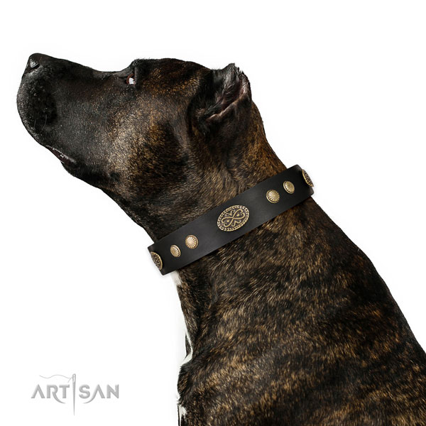 Strong fittings on genuine leather dog collar