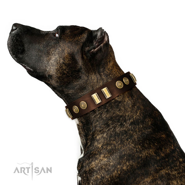 Corrosion resistant fittings on full grain genuine leather dog collar for stylish walking
