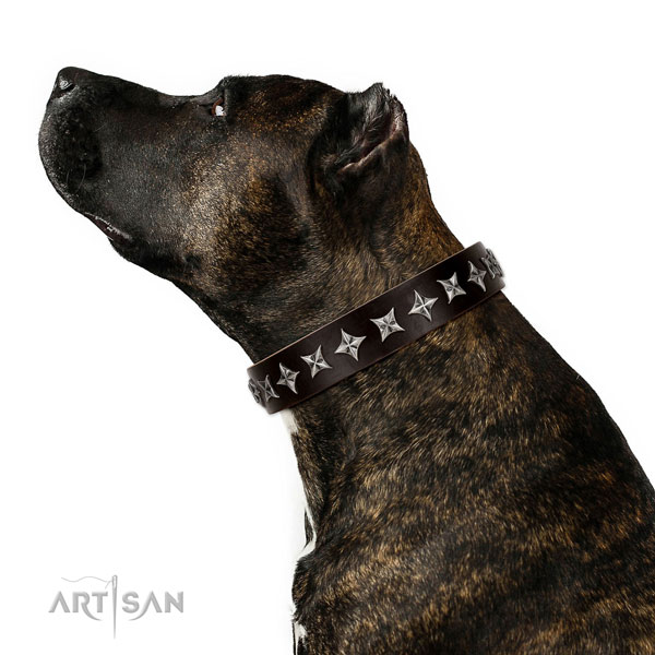 Everyday use decorated dog collar of top quality natural leather
