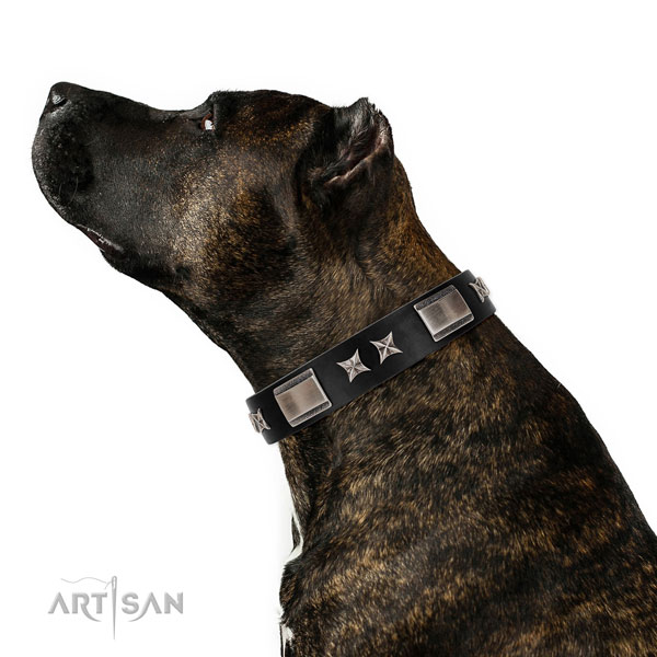 Daily use reliable full grain genuine leather dog collar with decorations