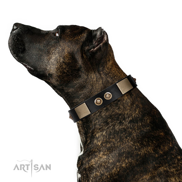 Strong traditional buckle on genuine leather dog collar for handy use