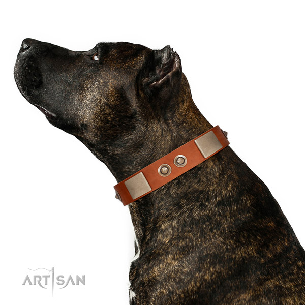 Corrosion resistant traditional buckle on leather dog collar for handy use