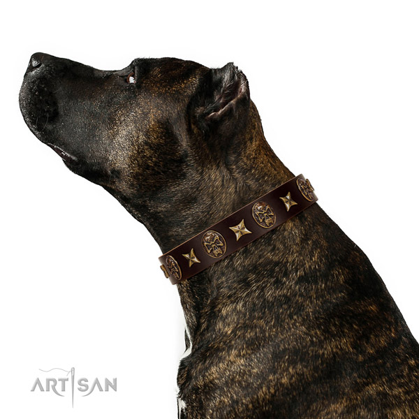 Easy to adjust natural leather dog collar with decorations