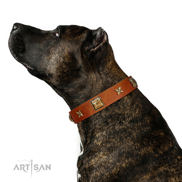 Exceptional full grain genuine leather dog collar with studs