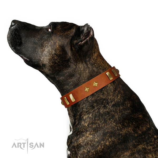 Comfortable wearing high quality full grain natural leather dog collar with decorations
