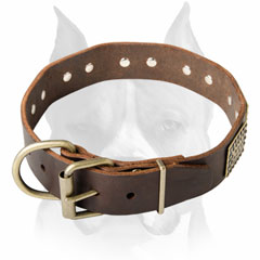 Durable and solid leather Amstaff stylish dog collar