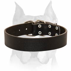 Perfect for walking and training Amstaff leather dog collar