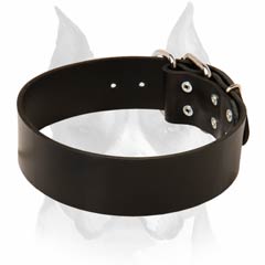Amstaff quality and tearproof leather dog collar