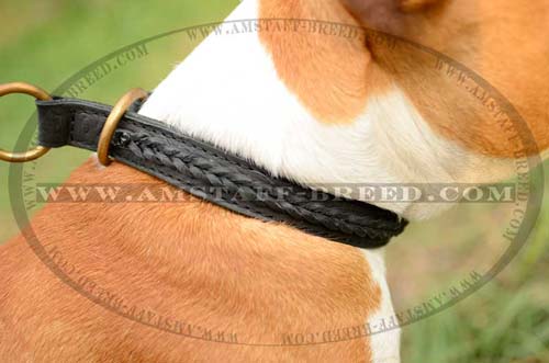 Handmade Amstaff leather dog collar for stylish walking