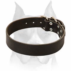 Amstaff leather dog collar for safe walking