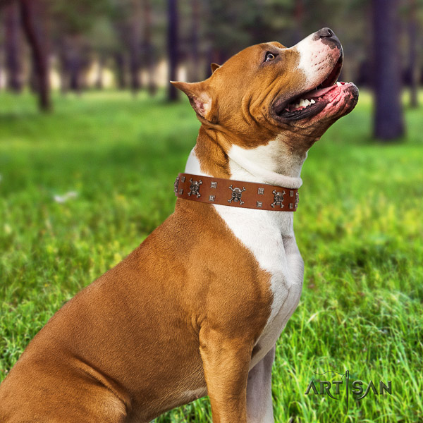Amstaff convenient leather dog collar for daily walking
