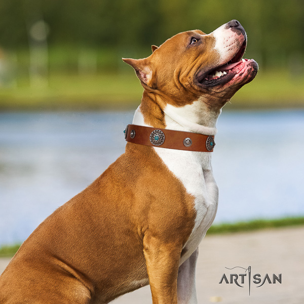 Amstaff top quality full grain leather dog collar for easy wearing