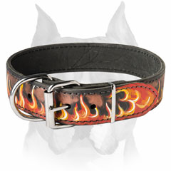 Excellent Amstaff flame painted dog collar for     everyday walking