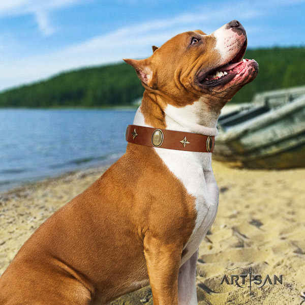 Amstaff best quality full grain leather dog collar for handy use
